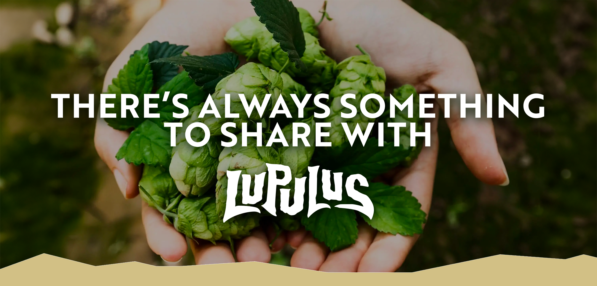 Lupulus_5